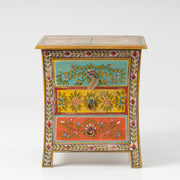 Noptiera Pictata Manual