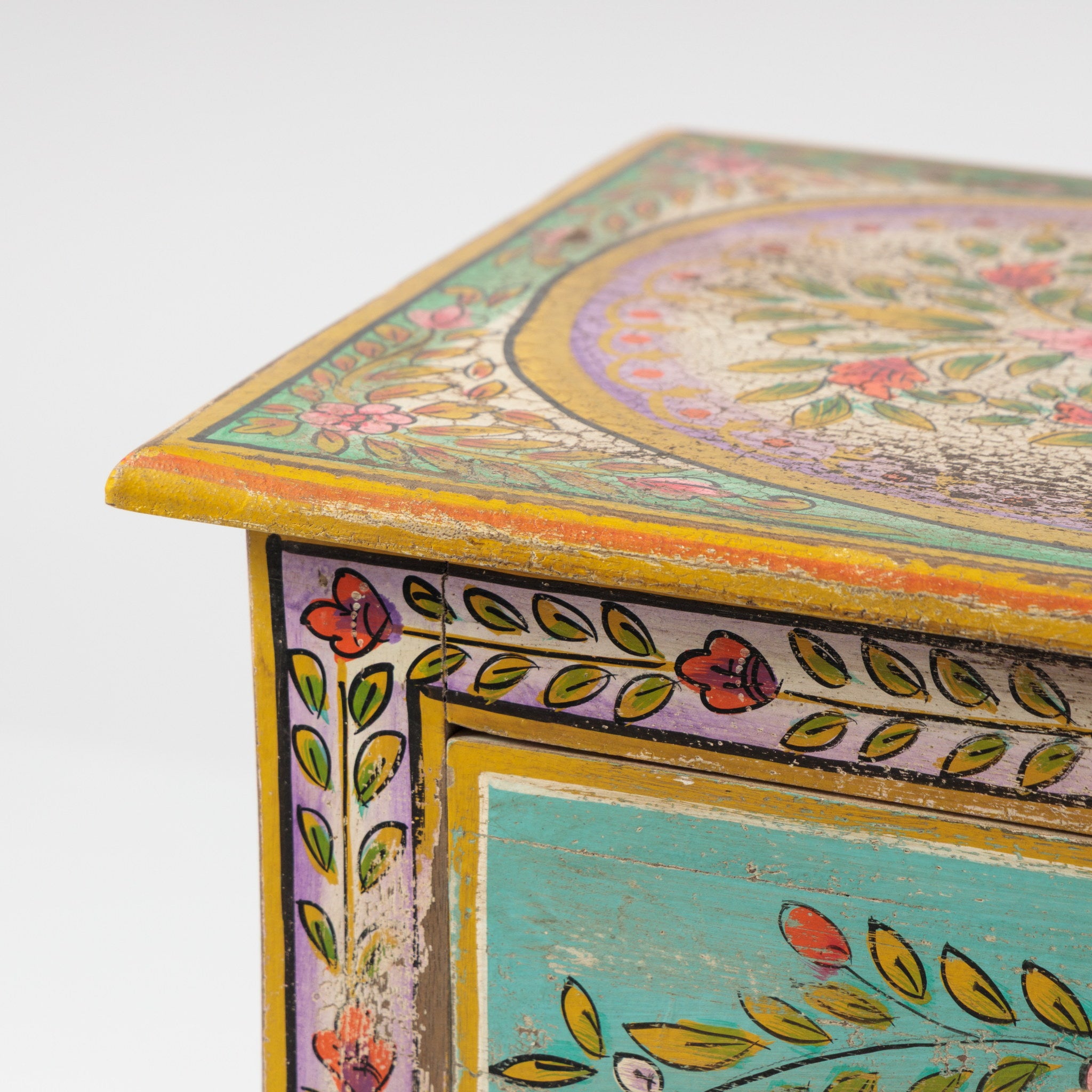 Noptiera Pictata Manual