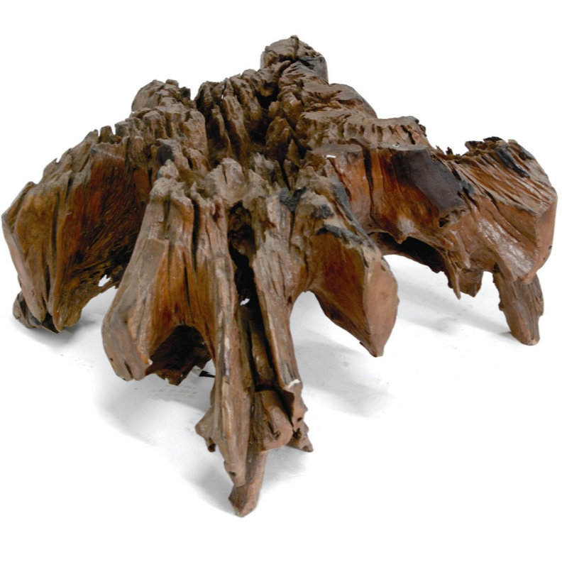 Masuta Asimetrica - C