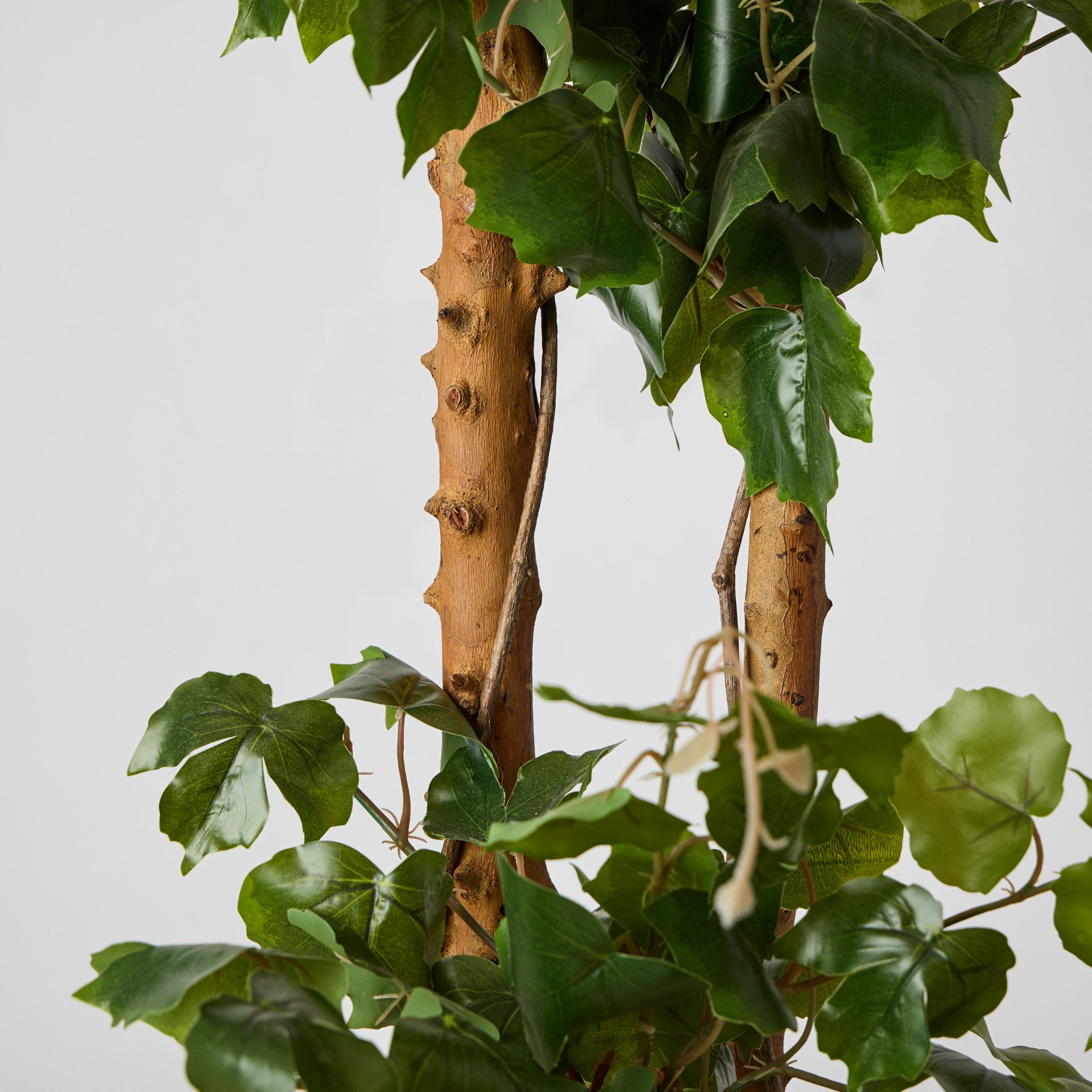 Iedera artificiala cu trunchi natural in ghiveci pentru interior H120 cm
